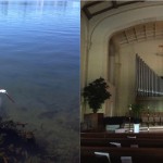 Seeking Sanctuary