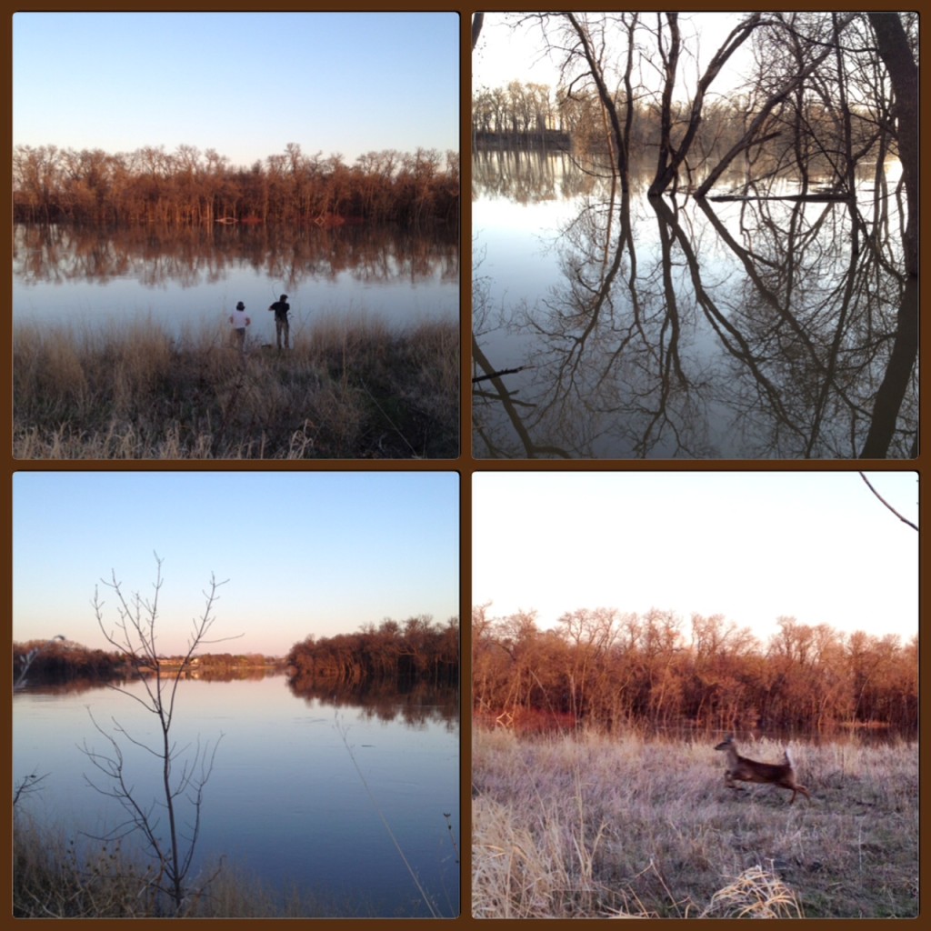 riverbank wandering