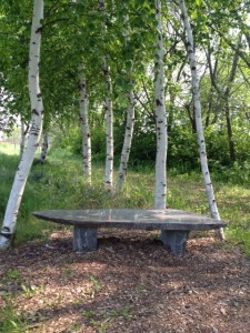 stone bench 2