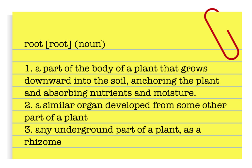 31. card - root