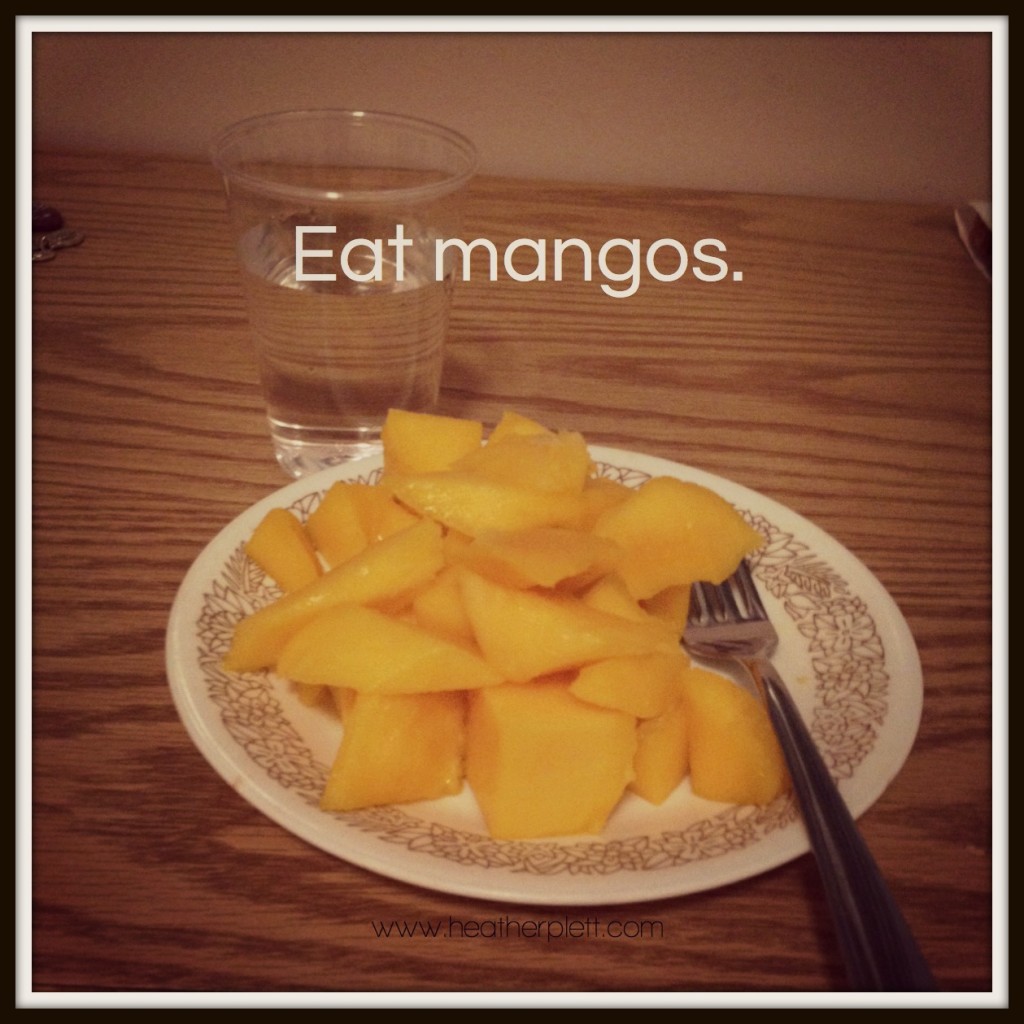 8. retreat - mangos