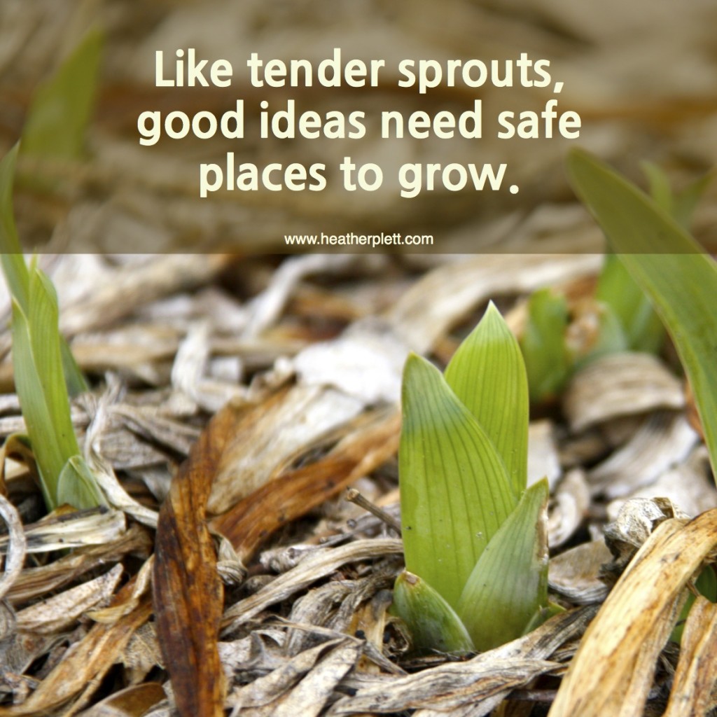 tender sprouts