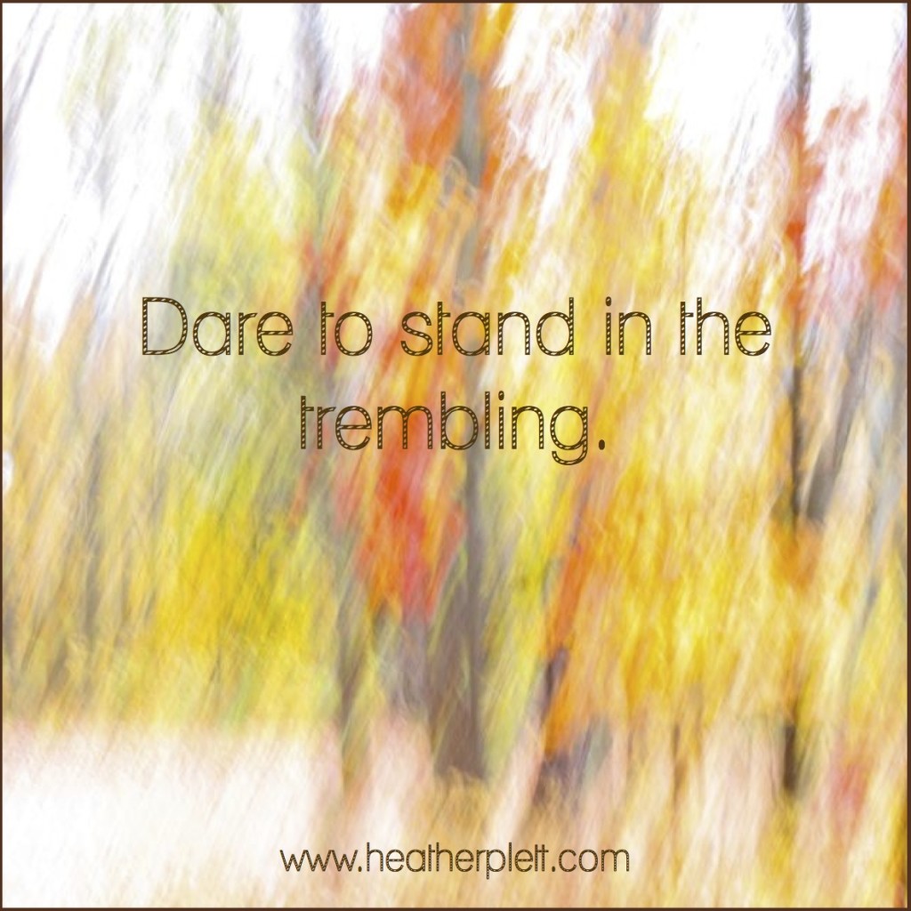 dare to stand in the trembling