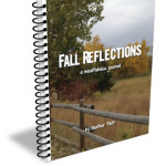 Fall Reflections - mock cover